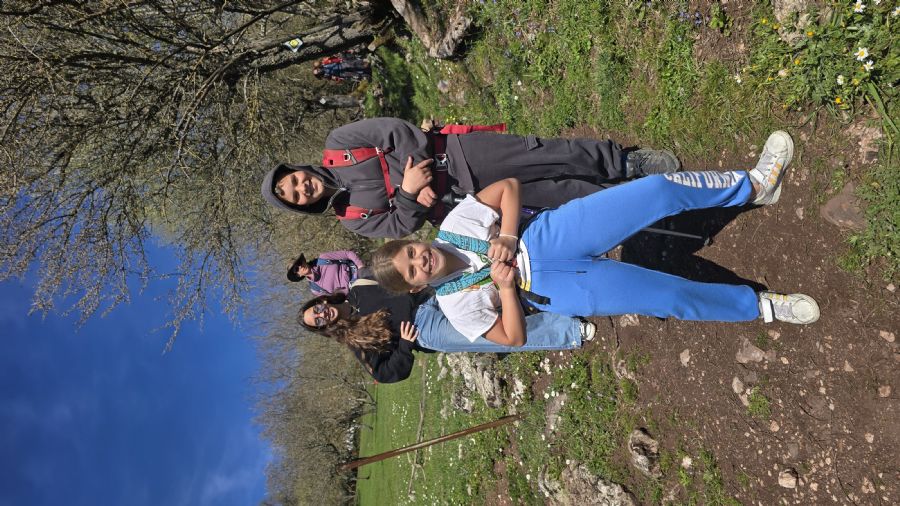 טרק המנליון